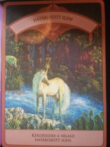 12063832_1622187611380769_1543174133794243817_n