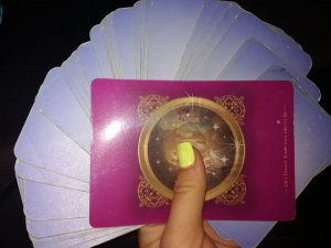 13533139_1709570232642506_538238852399934369_n